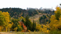View of the summit
